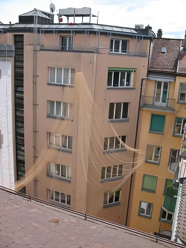 Anti-pigeons