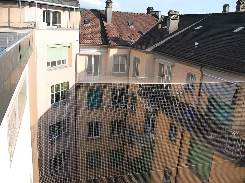 Anti-pigeons