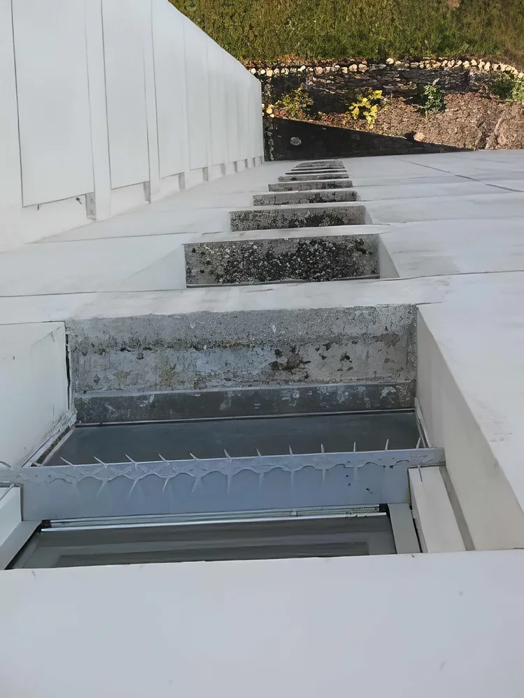 Anti-pigeons