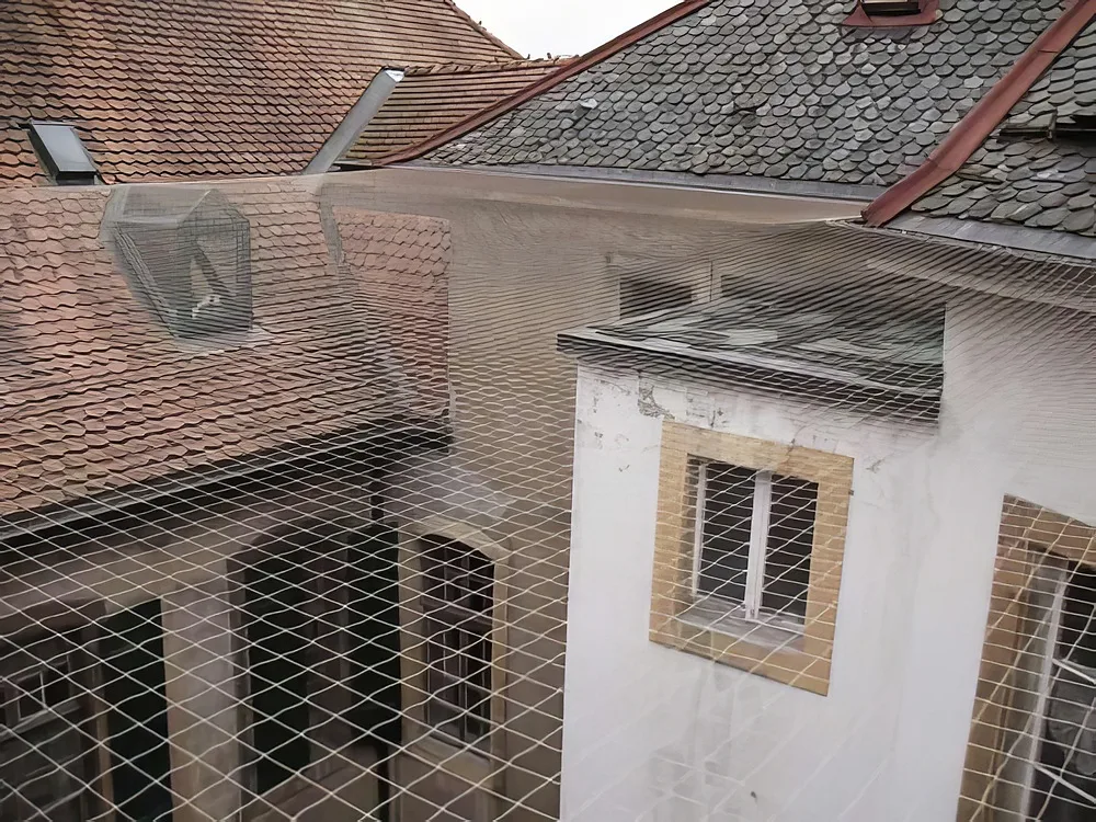 Anti-pigeons