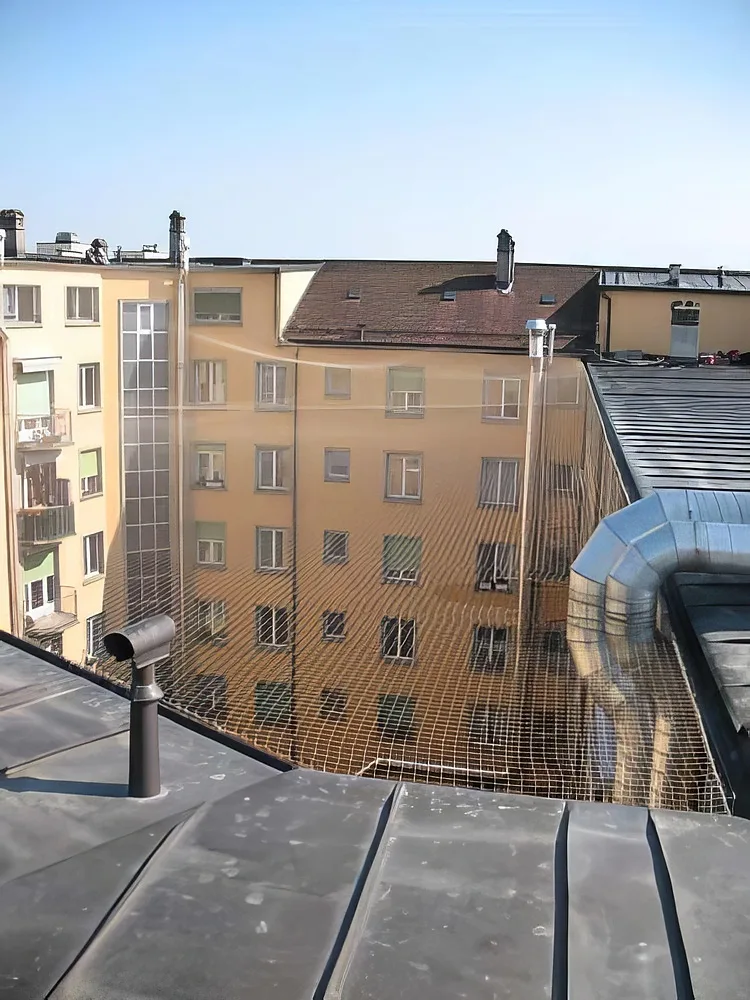 Anti-pigeons