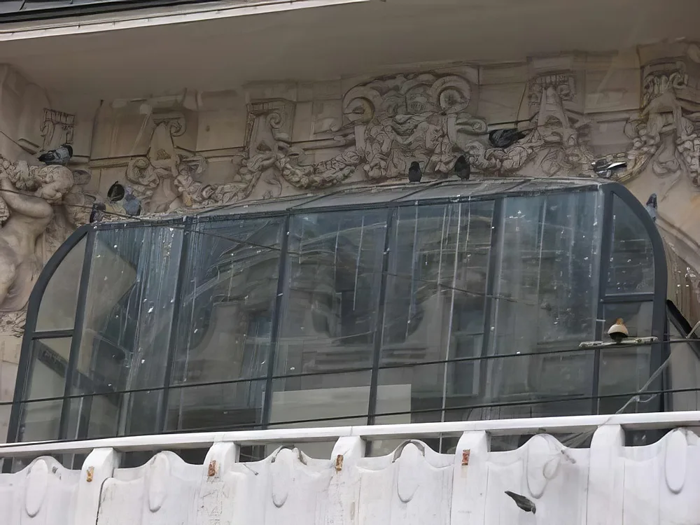 Anti-pigeons